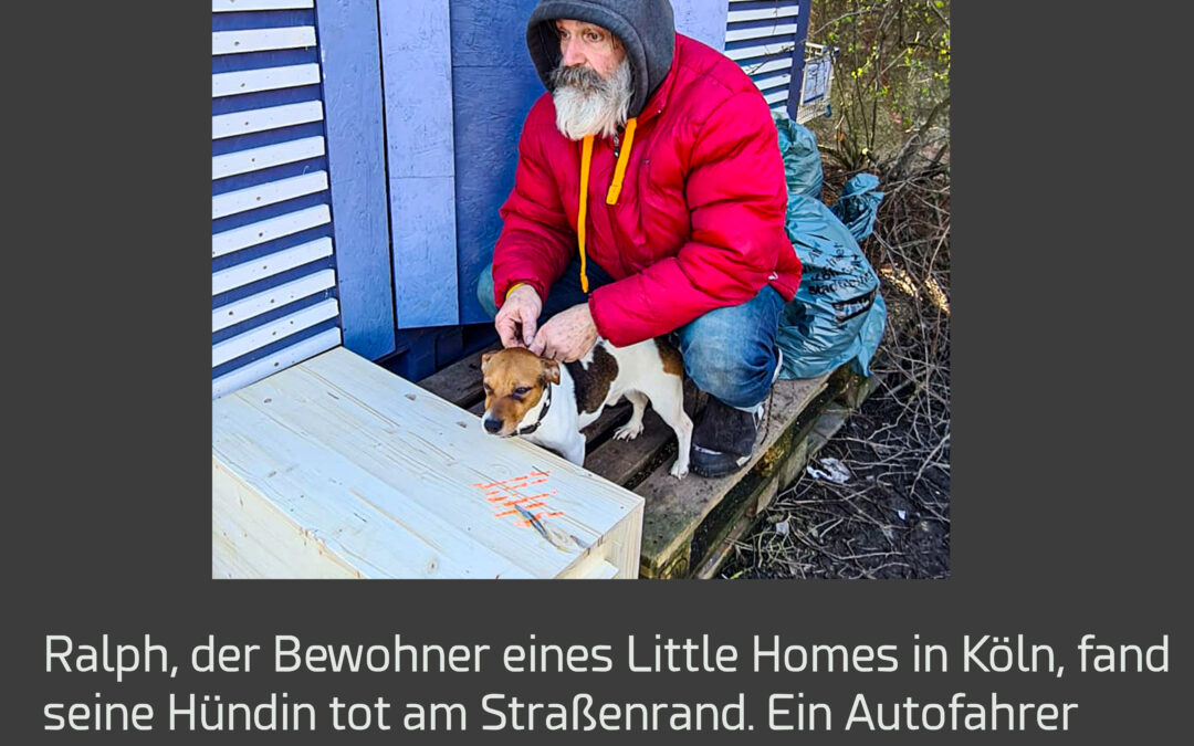 Würdevoller Abschied von Hündin Luna